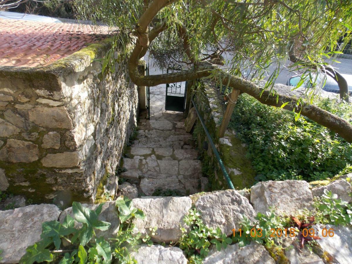 Almond Trees Cottage Divarata Dış mekan fotoğraf